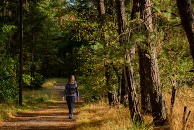 Das Bild zeigt eine Wanderin auf dem Bergischen Weg.