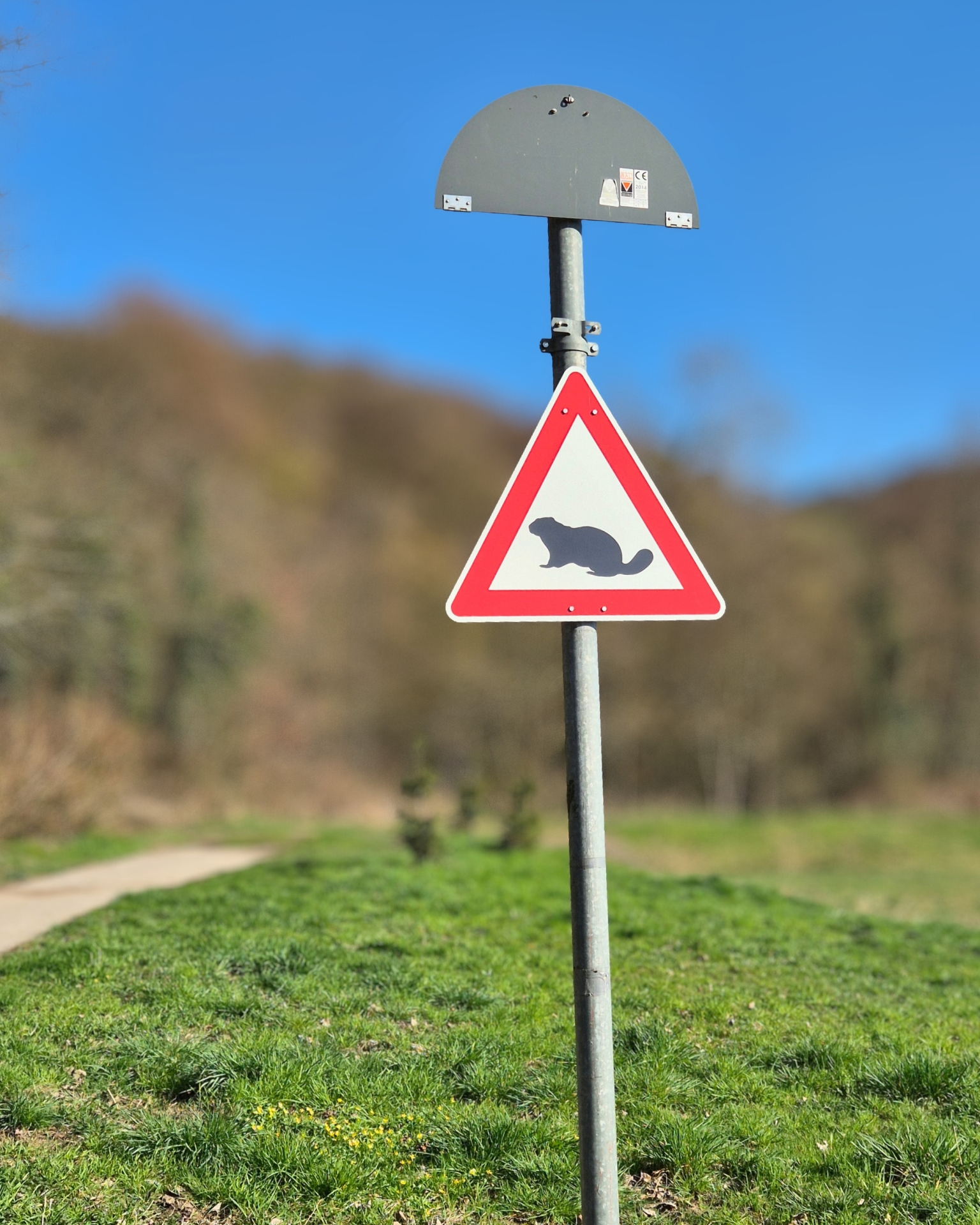 Schild Achtung Biber Das Bild zeigt das Verkehrsschild "Achtung Biber" im Bereich Venauen.