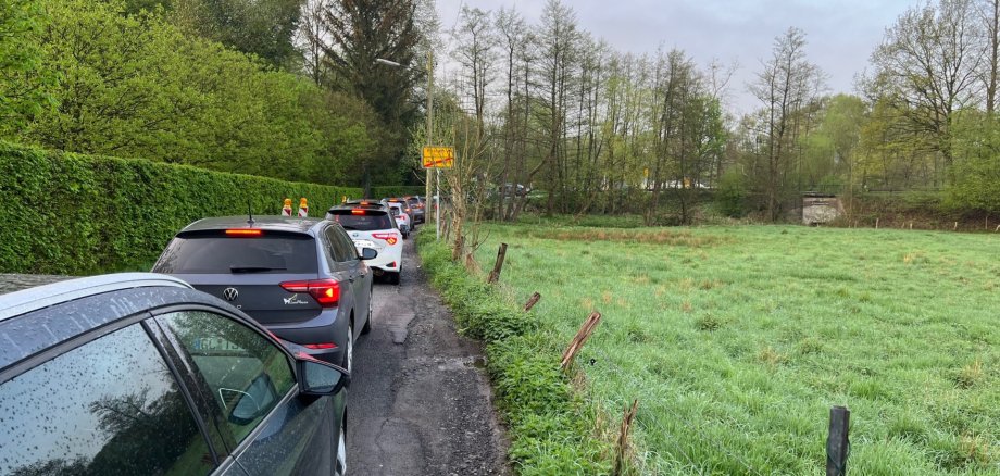 Das Bild zeigt eine Staulage in der Ortslage Menzlingen.