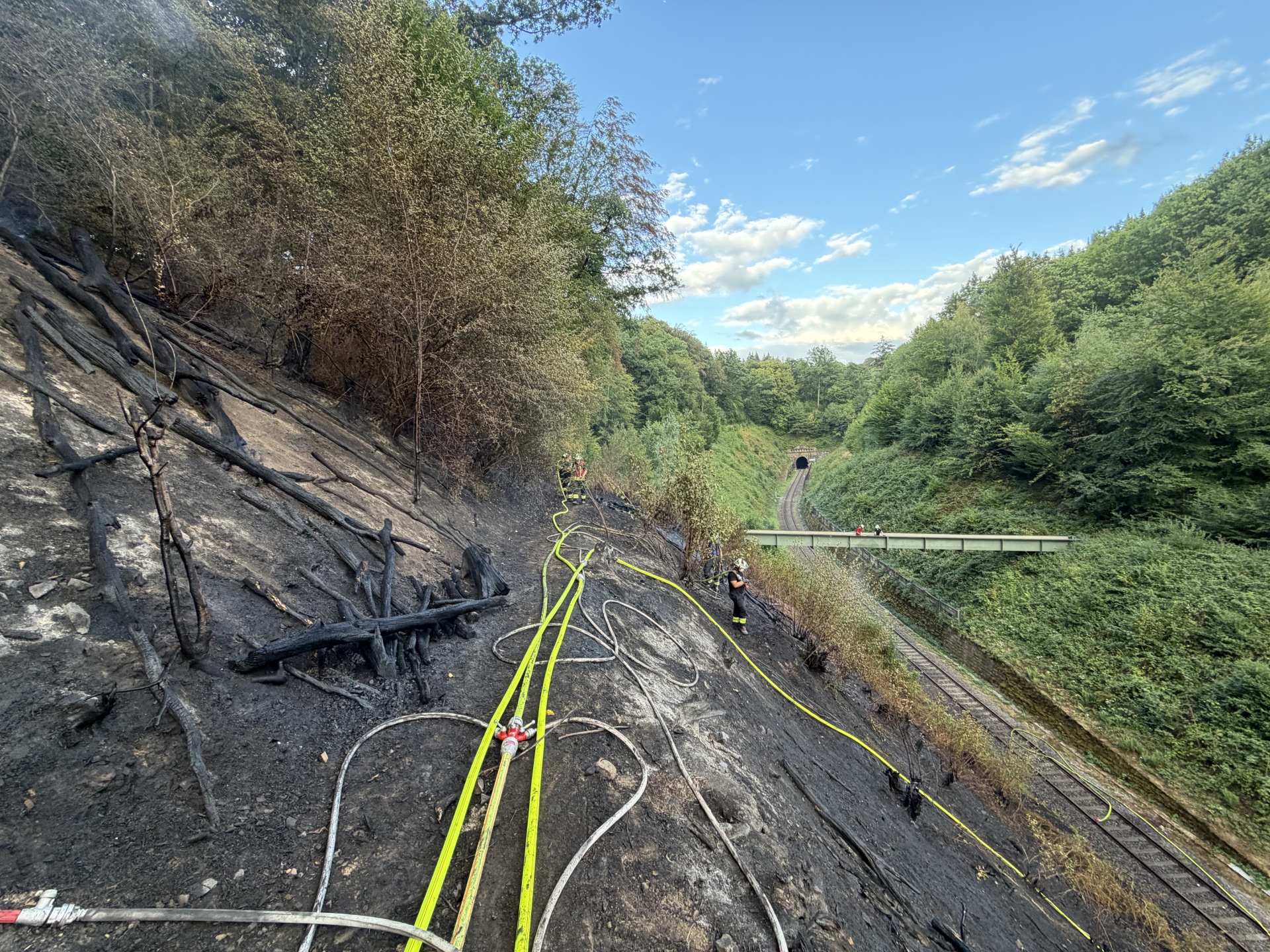 Waldbrand am Lüderich Das Bild zeigt eine verbrannte Fläche beim Waldbrand am Lüderich.