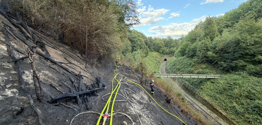Das Bild zeigt eine verbrannte Fläche beim Waldbrand am Lüderich.