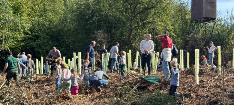 Einheitsbuddeln Groß und Klein unterstützen beim Einheitsbuddeln und pflanzen Setzlinge in die Erde.
