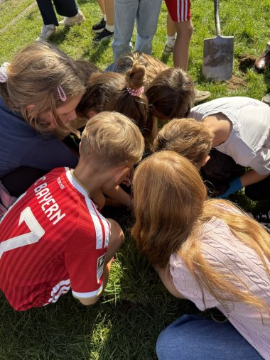 Kinder der KGS in Aktion: Sie pflanzen Blumenzwiebeln.