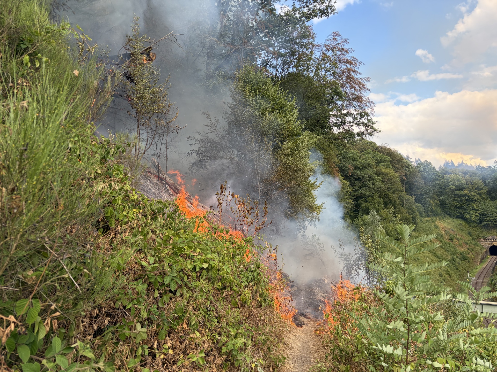 Wald- und Böschungsbrand Das Bild zeigt einen Wald- und Böschungsbrand am Lüderich.