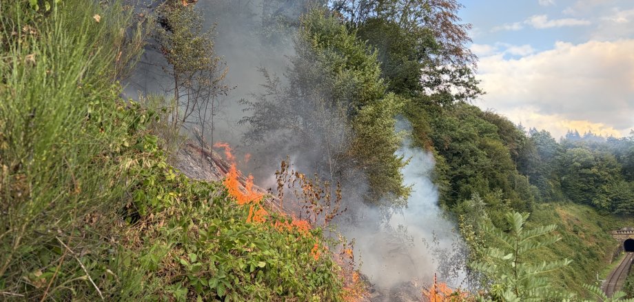 Wald- und Böschungsbrand Das Bild zeigt einen Wald- und Böschungsbrand am Lüderich.