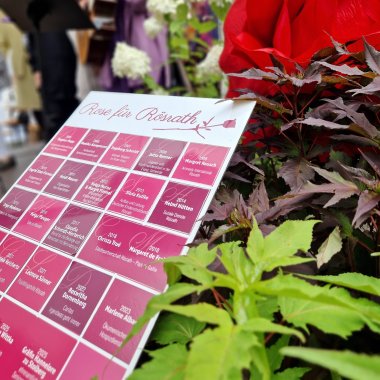Das Bild zeigt die Plakette mit den bisherigen Trägerinnen der Rose für Rösrath.