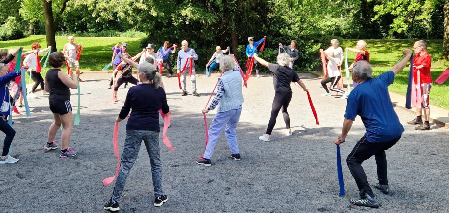 Sport im Park Das Bild zeigt eine Trainingseinheit bei Sport im Park.